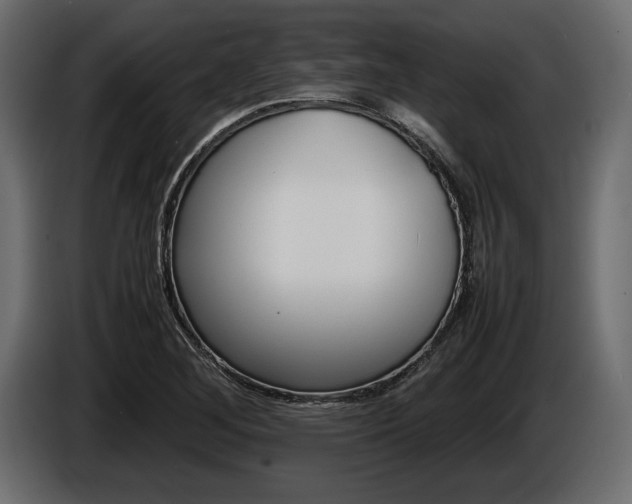 X0000086721268200704130721