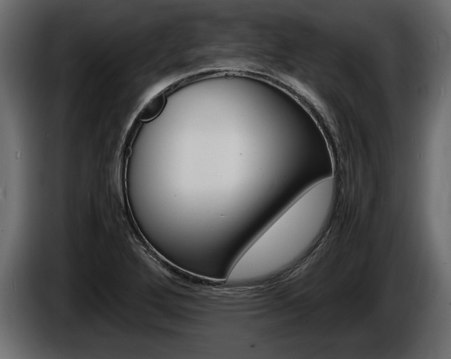 X0000086721272200704130721