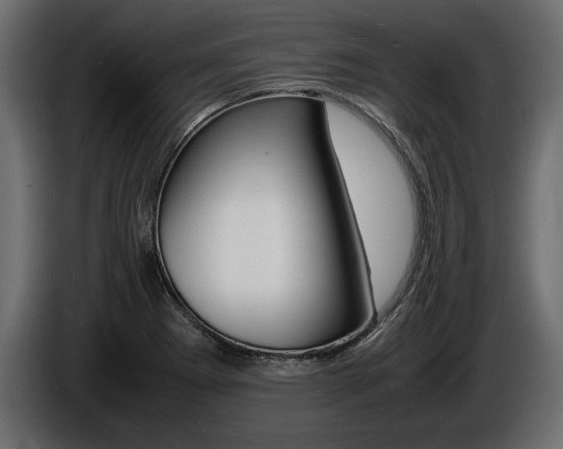 X0000086721273200704130721