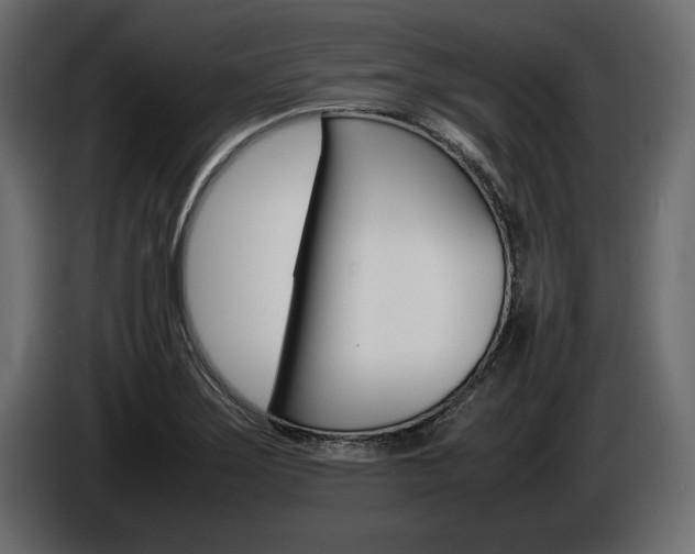 X0000086721275200704130721