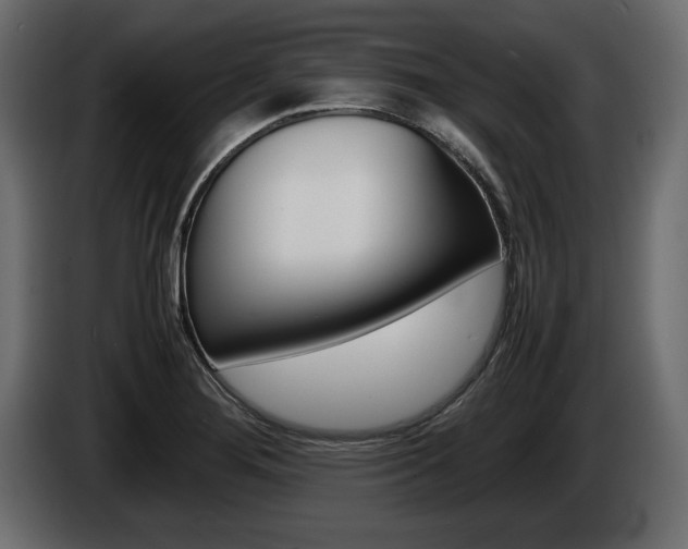 X0000086721276200704130721