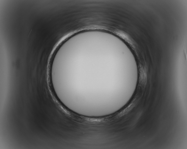 X0000086721278200704130721