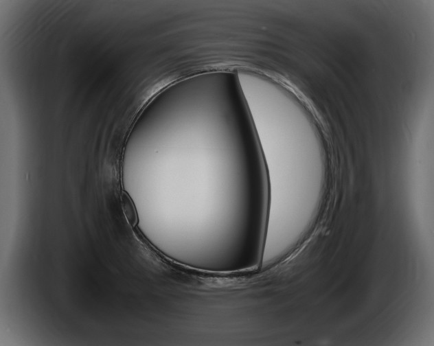 X0000086721281200704130721