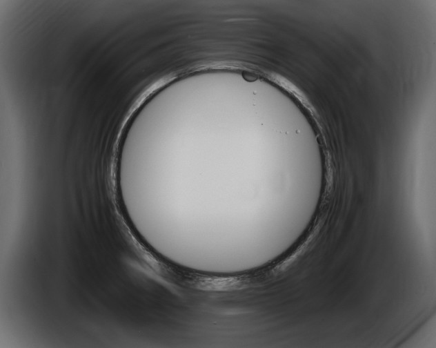 X0000086721282200704130721