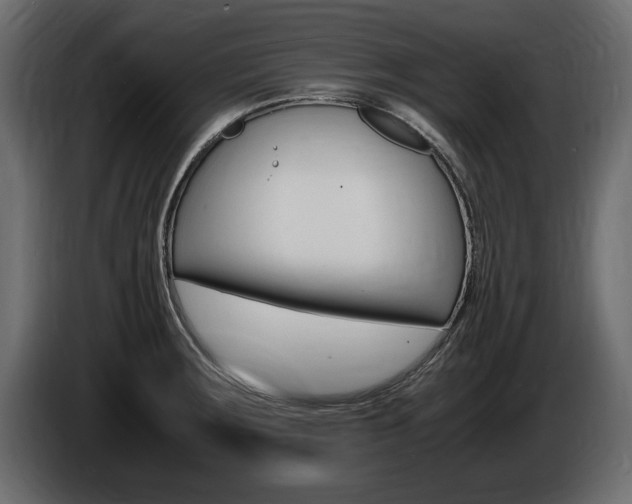 X0000086721283200704130721