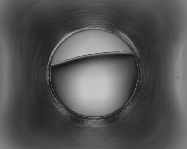 X0000086721284200704130721