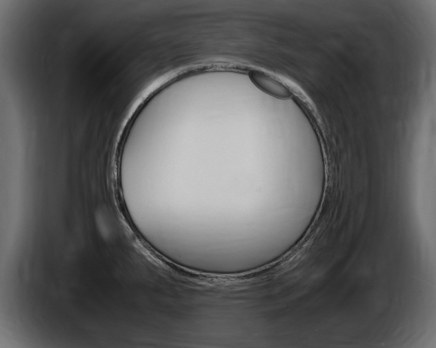 X0000086721287200704130721