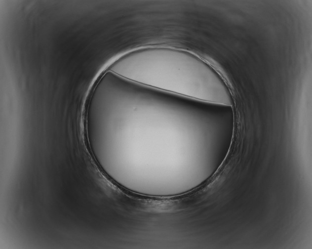 X0000086721288200704130721