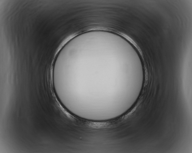 X0000086721290200704130721