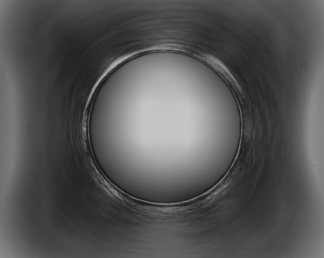 X0000086721292200704130721