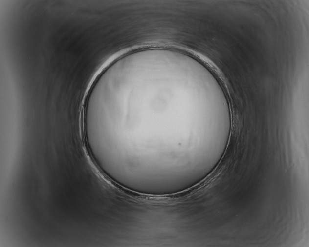 X0000086721295200704130721