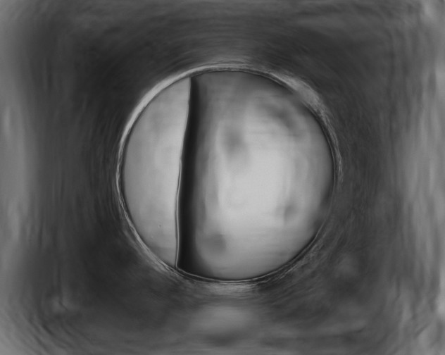 X0000086721296200704130721