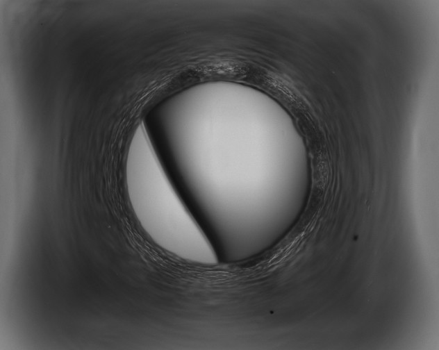 X0000086721297200704130720