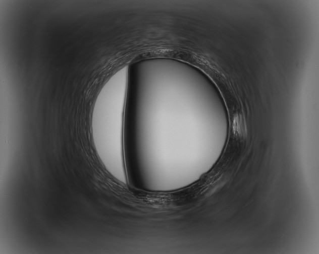 X0000086721299200704130720