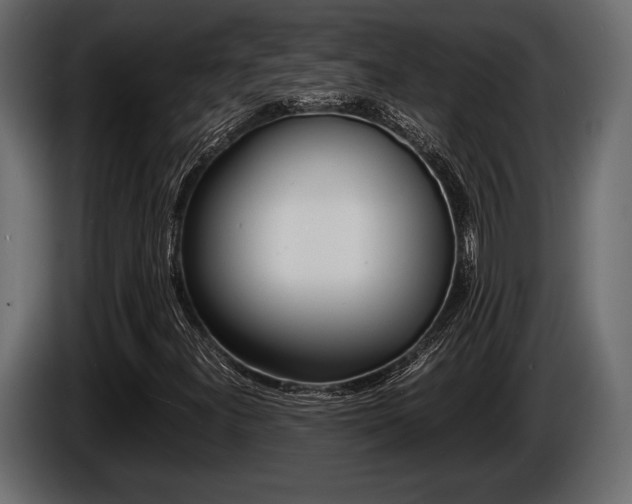 X0000086721300200704130720