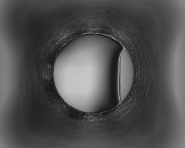X0000086721301200704130720