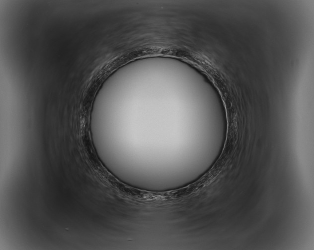 X0000086721302200704130720
