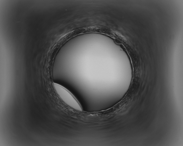 X0000086721303200704130720