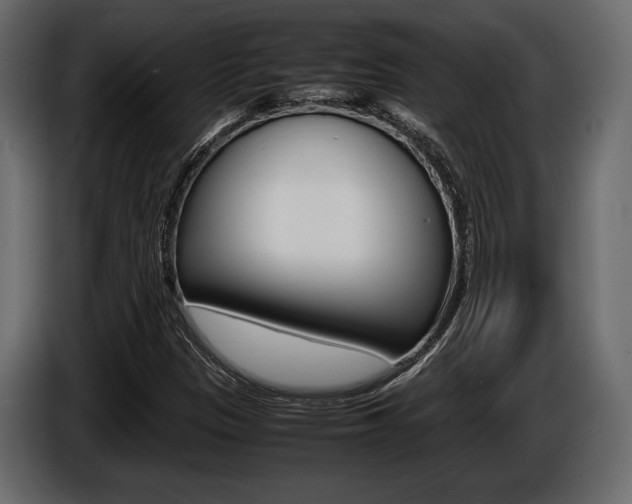 X0000086721305200704130720