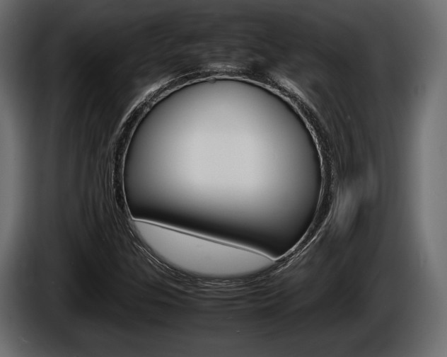 X0000086721307200704130720