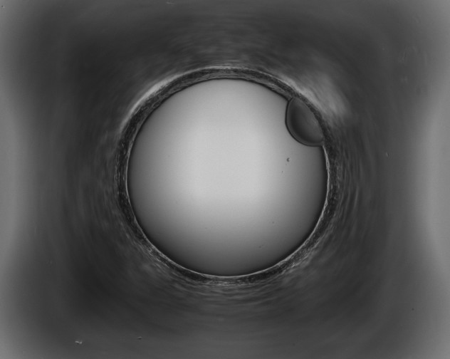 X0000086721311200704130720
