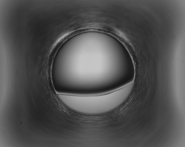 X0000086721312200704130720
