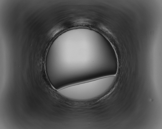 X0000086721313200704130720