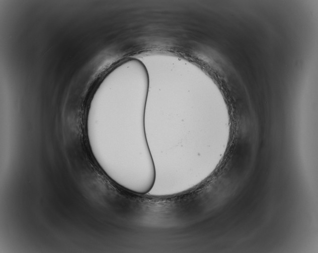 X0000086721314200704130720