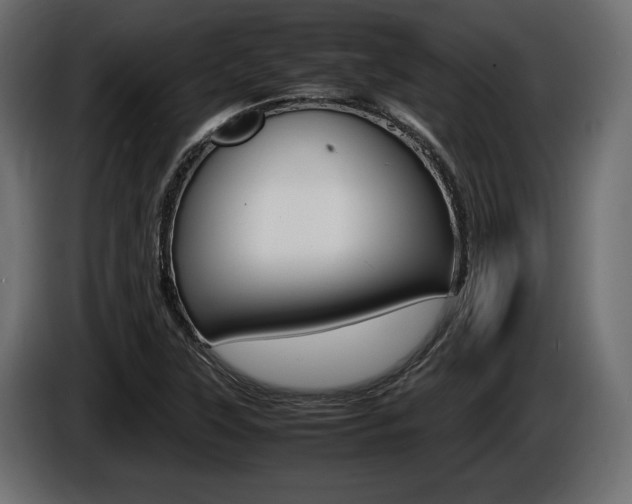 X0000086721315200704130720