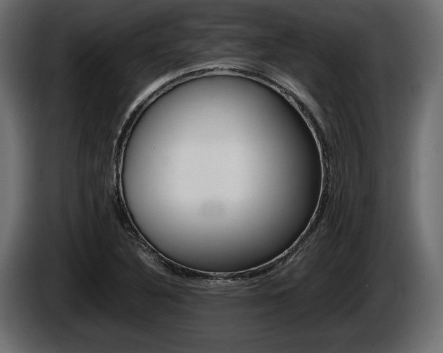 X0000086721316200704130721