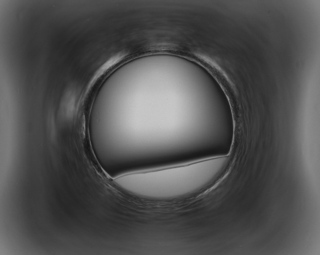 X0000086721317200704130721