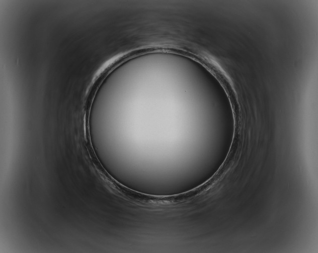 X0000086721320200704130721