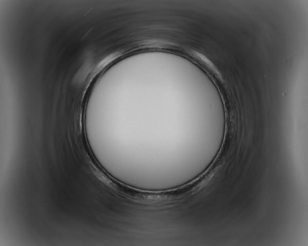 X0000086721322200704130721
