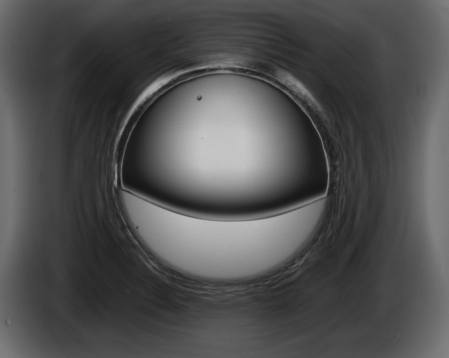 X0000086721324200704130721