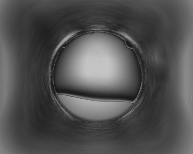 X0000086721325200704130721