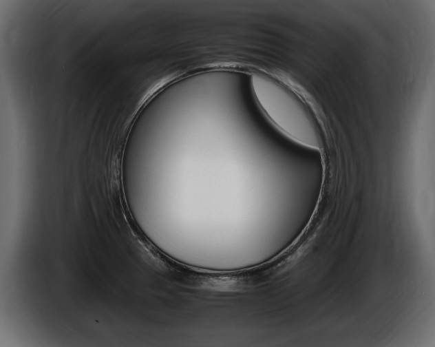 X0000086721329200704130721
