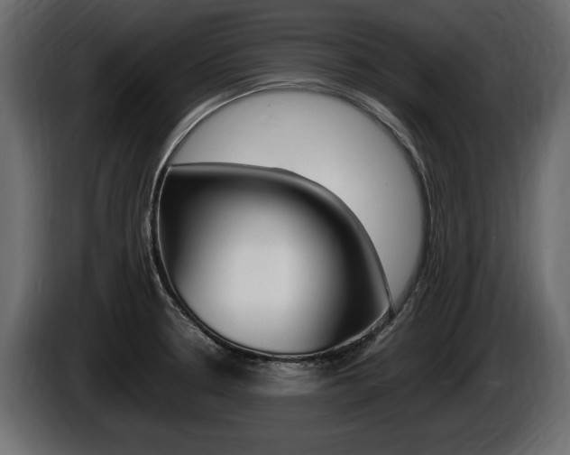 X0000086721330200704130721