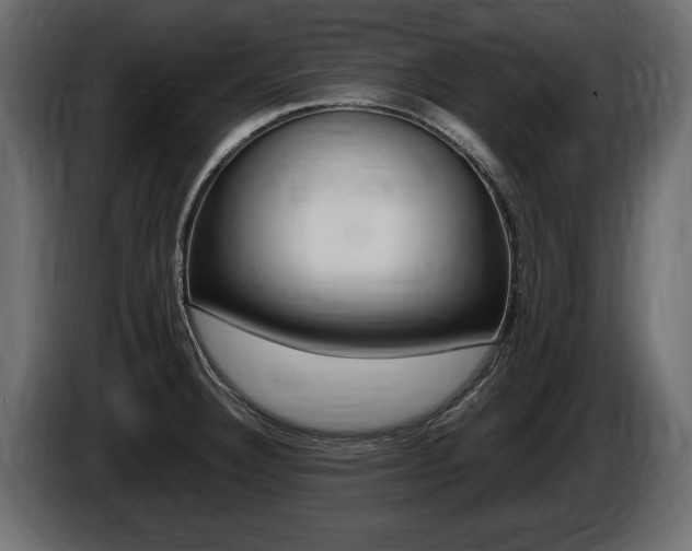 X0000086721332200704130721