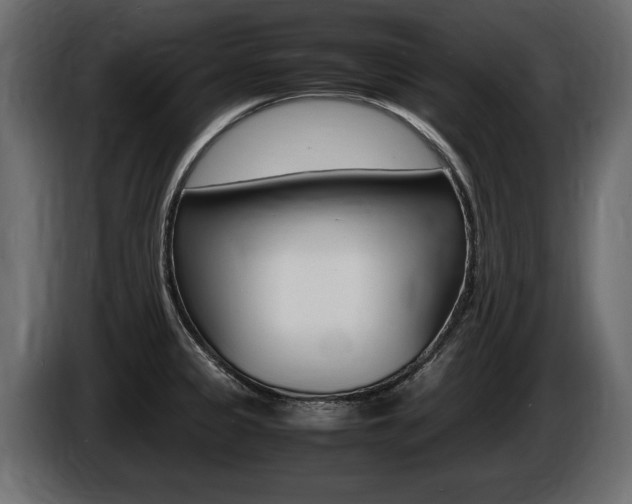 X0000086721333200704130721