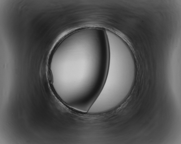 X0000086721334200704130721