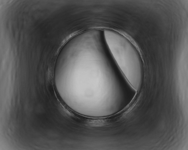 X0000086721337200704130721