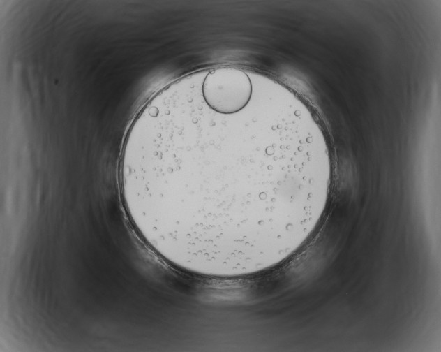 X0000086721338200704130721