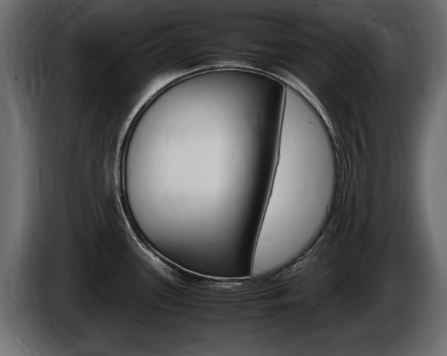 X0000086721339200704130721