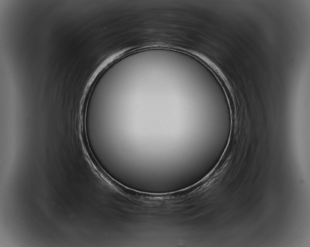 X0000086721341200704130721