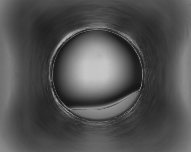 X0000086721342200704130721