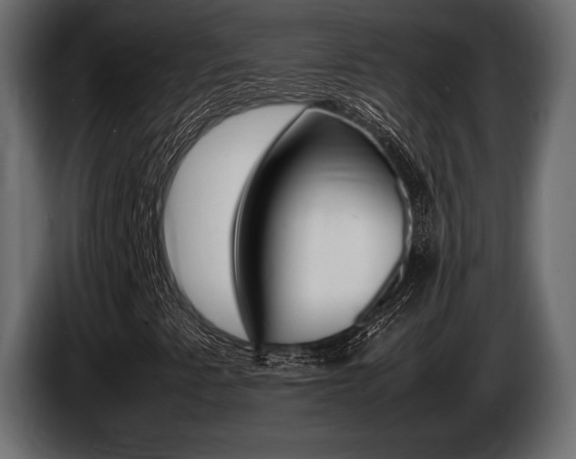 X0000086721345200704130720