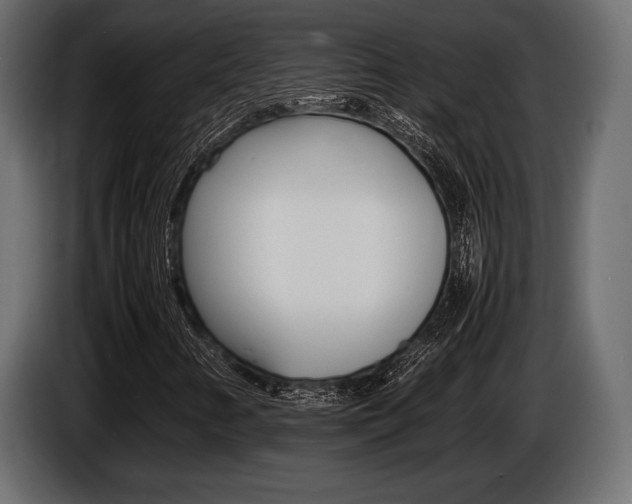 X0000086721346200704130720