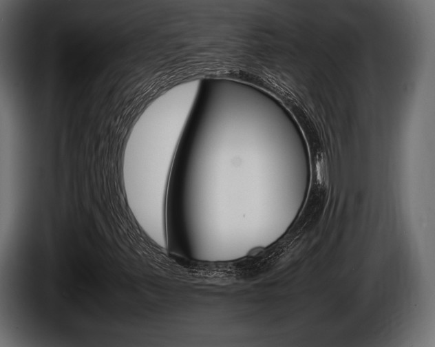X0000086721347200704130720