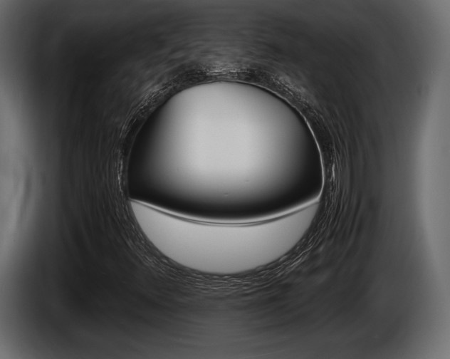 X0000086721348200704130720