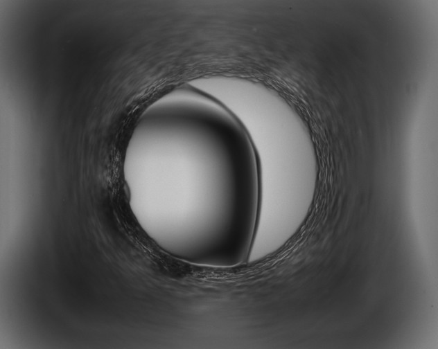 X0000086721349200704130720
